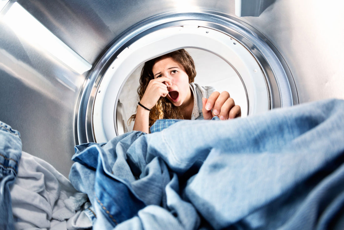 The Health Benefits of Regular Washing Machine Cleaning: A Guide to Eco-Friendly Practices